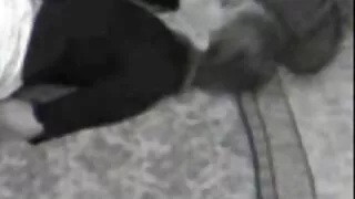 Δύο μικροκαμωμένες κυρίες γαμούν έναν άντρα - 2022-03-14 01:25:18