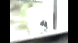 Τα κορίτσια του κολεγίου σπουδάζουν πολύ σκληρά - 2022-03-01 04:07:35